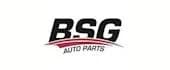BSG